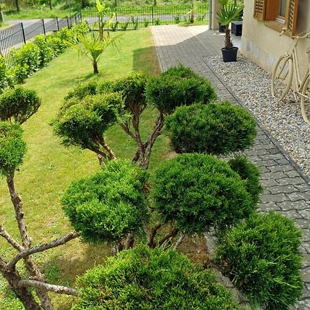 Mediterran Apartman ザラカロシュ エクステリア 写真