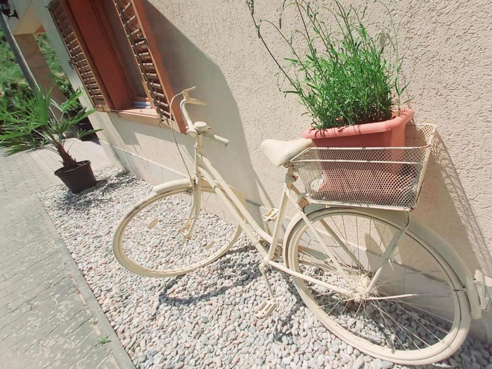 Mediterran Apartman ザラカロシュ エクステリア 写真